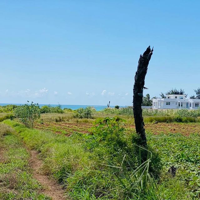 Takeer - Beach life😇
hii hiko kigamboni Gezaulole, una nafasi ya kumiliki hapa heka 1.5.

pia kuna viwanja vya kawaida vilivyopo umbali wa mita 300 kitoka ...