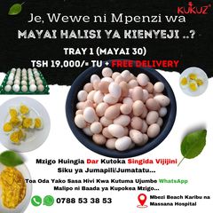 Takeer - Mayai Halisi ya Kienyeji Kutoka Singida Vijijini...!

Weka Order Yako Mapema Kabla Hazijajaa...

1 Tray =Tsh 19,000/= Tu + FREE DELIVERY SERVICE

1...