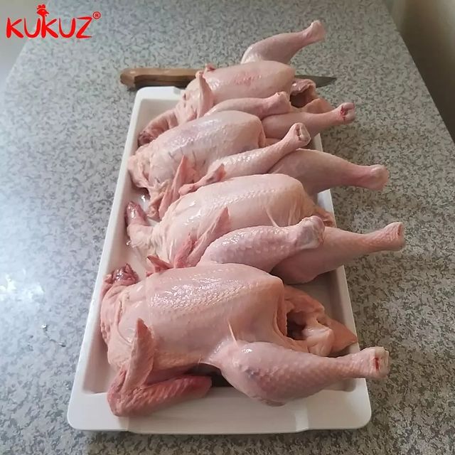 Takeer - Kuku Fresh na Wakubwa Wapo Ofisini, Wahi Sasa...!

Whole Fresh Chicken/Kuku Mzima
1kg = Tsh 9,500/= Tu...

(Bei Hutegemea na Uzito wa Kuku, Baada y...