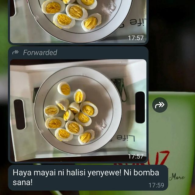 Takeer - 🔥CUSTOMER'S FEEDBACK🔥

Mayai Halisi ya Kienyeji Kutoka Singida Vijijini...!

Wahi Sasa Zimebakia Tray 5 Tu za Mwisho...

Tray 1 =Tsh 19,000/= Tu ...