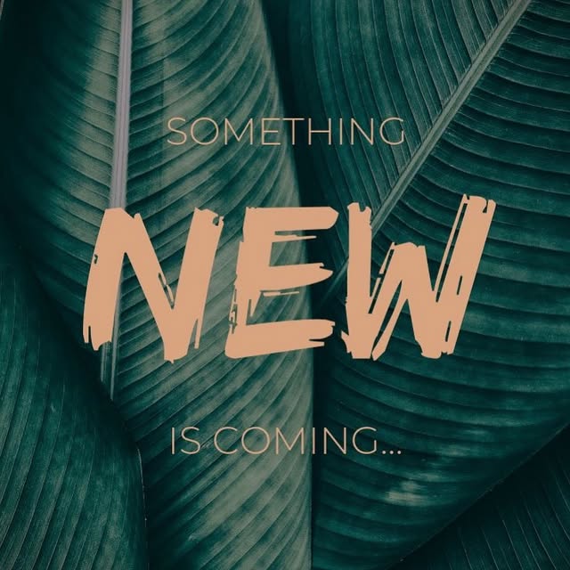 Takeer - Our Beautiful Clients please follow our main brand new clothes page  to Continue shopping 

This Page will soon be selling Thrifted clothes 

Wapen...