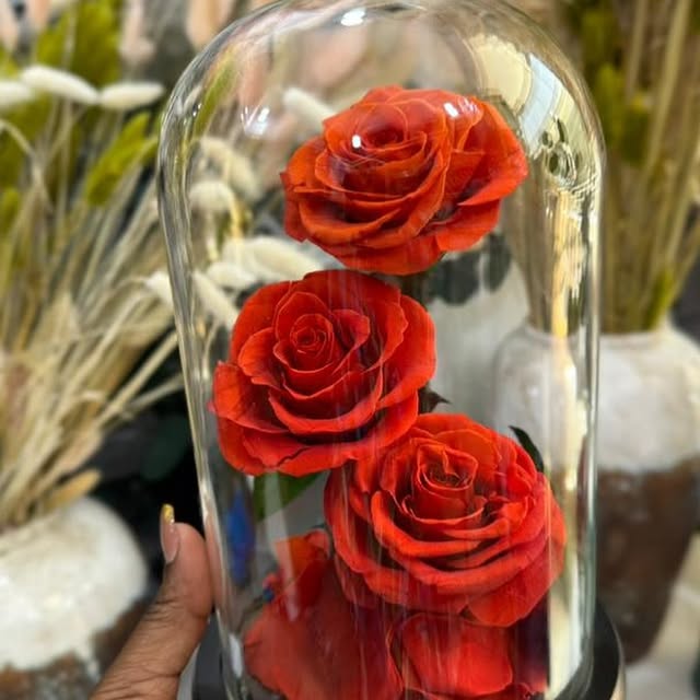 Takeer - Preserved Roses with Glass 
 
Price: 120,000 

📞