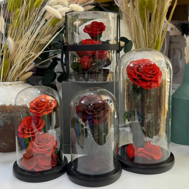 Takeer - Preserved Roses with Glass 

  PRICES

Price: 70,000 -Small Size 1 Rose

Price: 120,000 - Big Size 1 Rose

Price: 120,000 - Small Size 3 Roses

Pri...